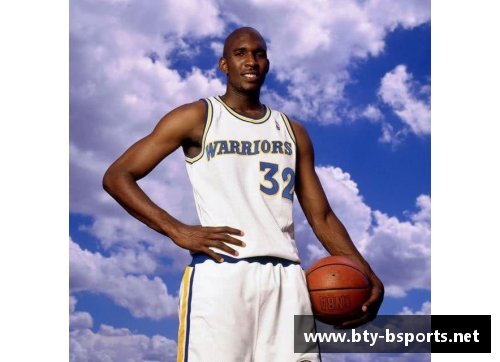 央视NBA解说：深度分析与情感共鸣